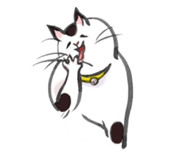 Full activity Cats sticker #490045