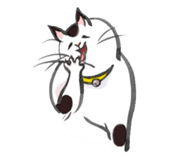 Full activity Cats sticker #490045