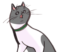 Full activity Cats sticker #490047