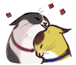 Full activity Cats sticker #490049