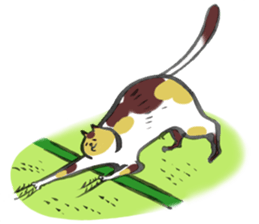 Full activity Cats sticker #490051