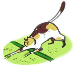 Full activity Cats sticker #490051