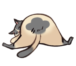 Full activity Cats sticker #490054