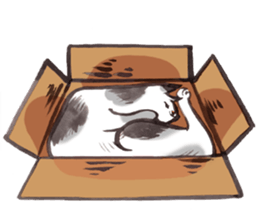 Full activity Cats sticker #490059