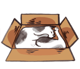 Full activity Cats sticker #490059