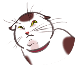 Full activity Cats sticker #490060