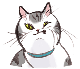 Full activity Cats sticker #490061