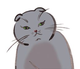 Full activity Cats sticker #490065