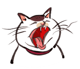 Full activity Cats sticker #490067