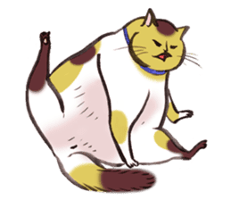 Full activity Cats sticker #490068