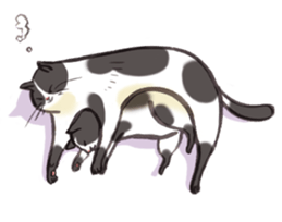 Full activity Cats sticker #490072