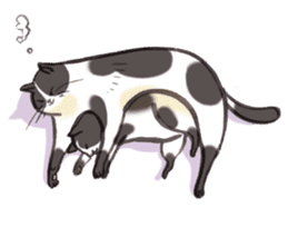 Full activity Cats sticker #490072