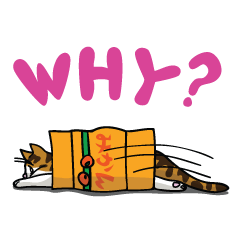 Manjyumaru & cats tour