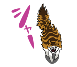 Manjyumaru & cats tour sticker #490199