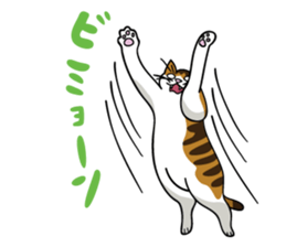 Manjyumaru & cats tour sticker #490208