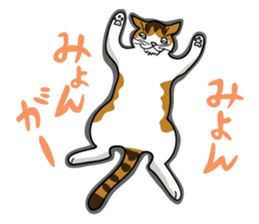 Manjyumaru & cats tour sticker #490210