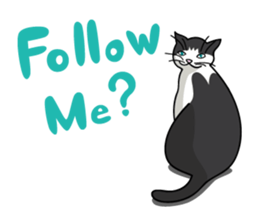 Manjyumaru & cats tour sticker #490221