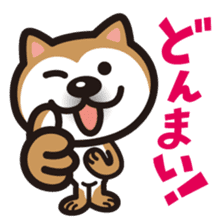Shiba Inu (native japanese dog) sticker #492275