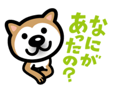 Shiba Inu (native japanese dog) sticker #492292
