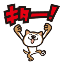 Shiba Inu (native japanese dog) sticker #492300
