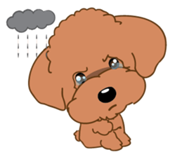 Poodle YaoYao sticker #493634