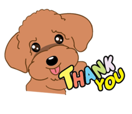 Poodle YaoYao sticker #493642