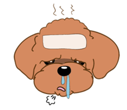 Poodle YaoYao sticker #493649