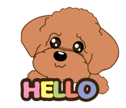 Poodle YaoYao sticker #493652