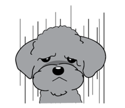 Poodle YaoYao sticker #493655