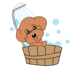 Poodle YaoYao sticker #493670