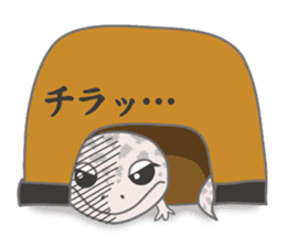 GOMASiO kun "Leopard Gecko" sticker #494510