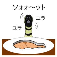 MICKtheCAT Studio-SCALE MICKtheCAT sticker #495258