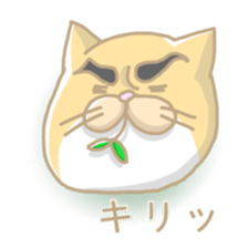 yellowcat sticker #496368