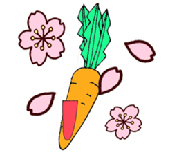 TEAM Carrot sticker #498855