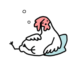 Husband of chicken sticker #498903