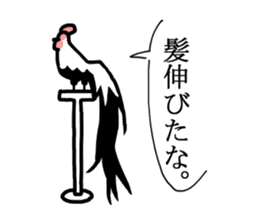 Husband of chicken sticker #498911