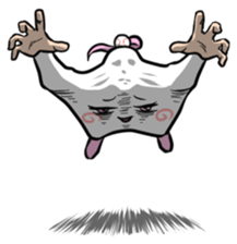 Home plate RUI sticker #499900