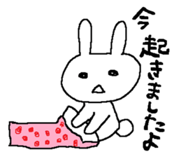 A shy rabbit sticker #501006