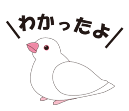 Java Sparrow sticker #503154