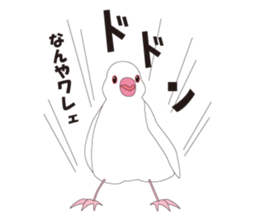 Java Sparrow sticker #503156