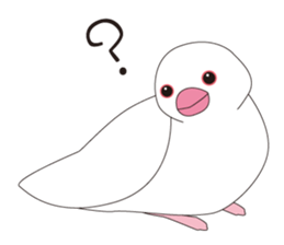 Java Sparrow sticker #503157