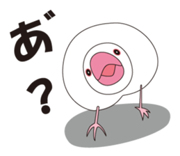 Java Sparrow sticker #503159