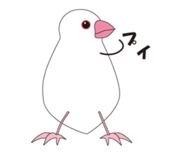 Java Sparrow sticker #503160