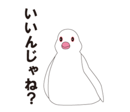 Java Sparrow sticker #503164