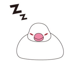 Java Sparrow sticker #503165