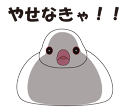 Java Sparrow sticker #503169