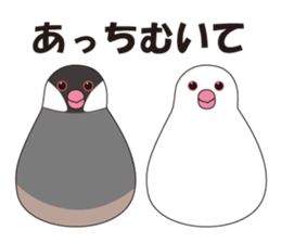 Java Sparrow sticker #503182