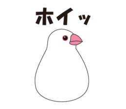 Java Sparrow sticker #503183
