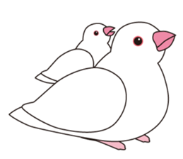 Java Sparrow sticker #503188