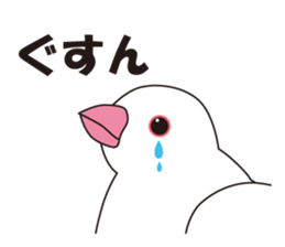 Java Sparrow sticker #503193